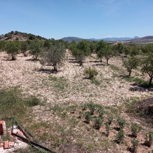 Image No.43-Villa de 6 chambres à vendre à Monóvar