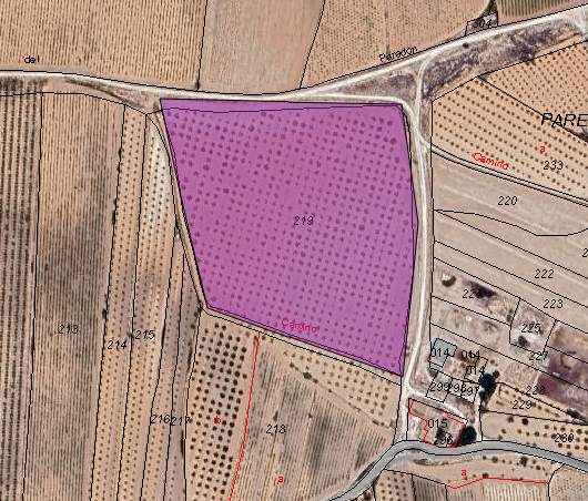 Image No.10-Terre à vendre à Pinoso