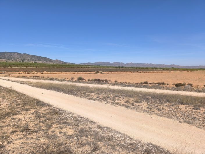 Image No.3-Terre à vendre à Pinoso