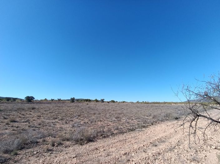 Image No.19-Maison de campagne de 3 chambres à vendre à Jumilla