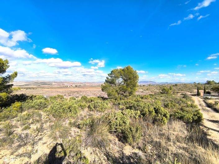 Image No.7-Maison de campagne de 5 chambres à vendre à Yecla