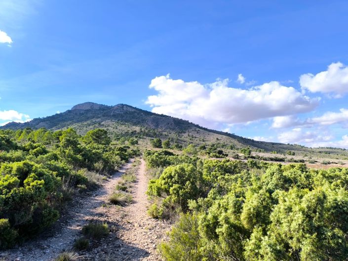 Image No.8-Maison de campagne de 5 chambres à vendre à Yecla