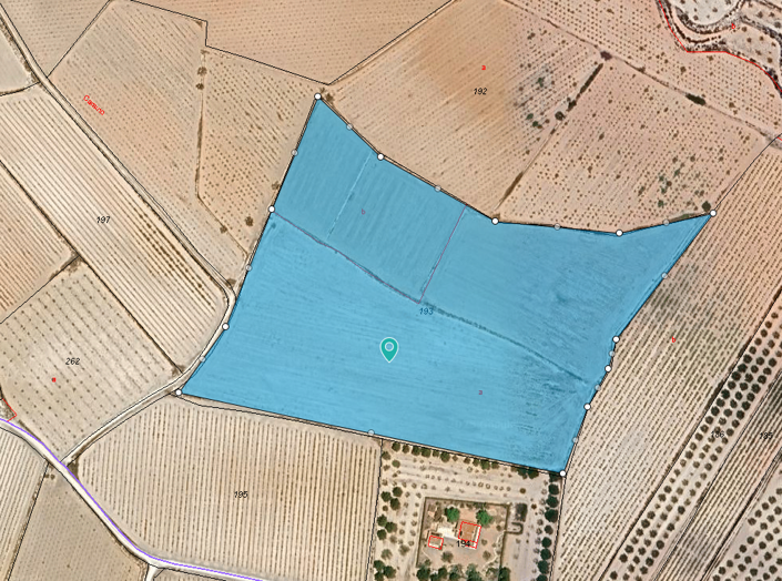 Image No.9-Terre à vendre à Pinoso