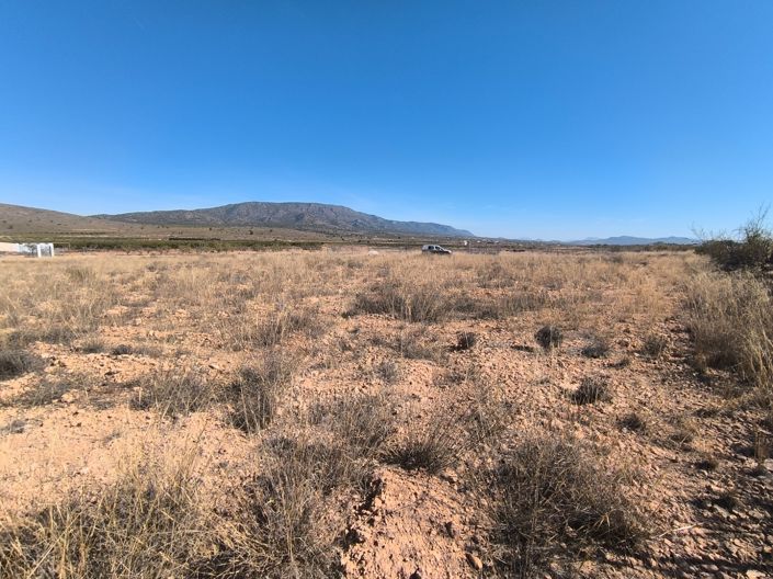 Image No.2-Terre à vendre à Pinoso