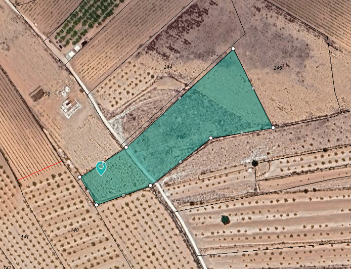 Image No.8-Terre à vendre à Pinoso