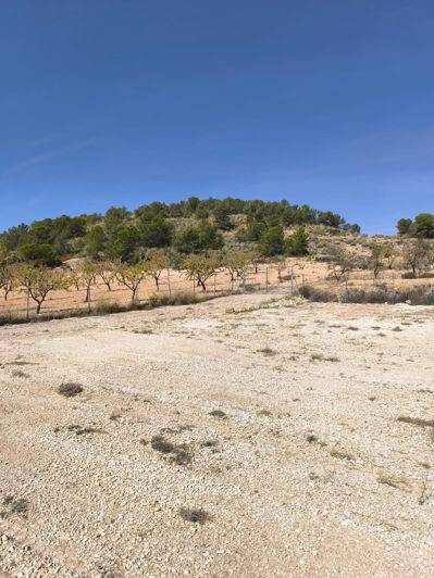 Image No.26-Villa de 2 chambres à vendre à La Zarza