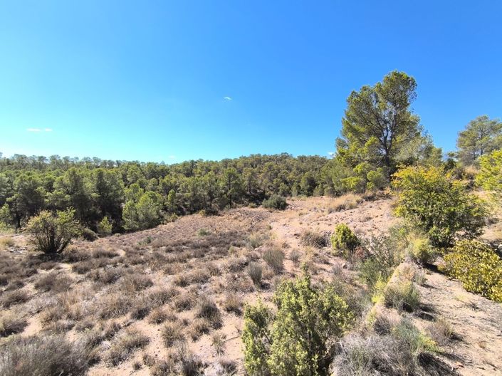 Image No.24-4 Bed Country House for sale