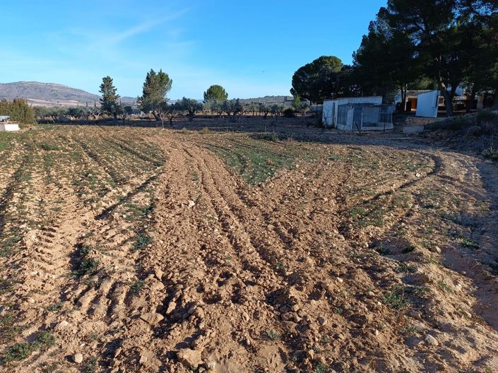Image No.25-Maison de campagne de 6 chambres à vendre à Yecla