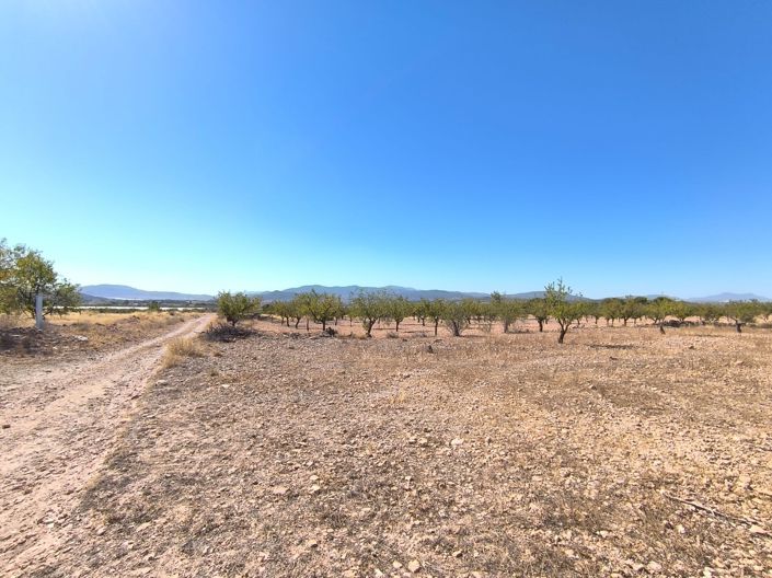 Image No.2-Terre à vendre à Monóvar