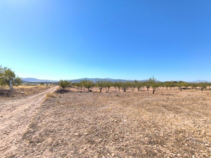 Image No.2-Land for sale