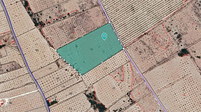 Image No.4-Terre à vendre à Monóvar