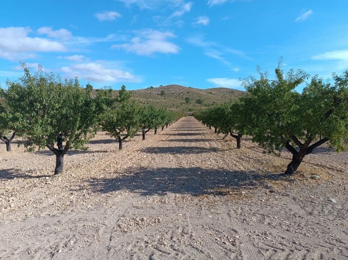 Image No.3-Land for sale