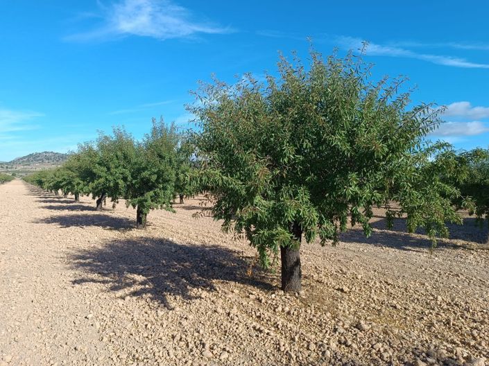 Image No.5-Land for sale