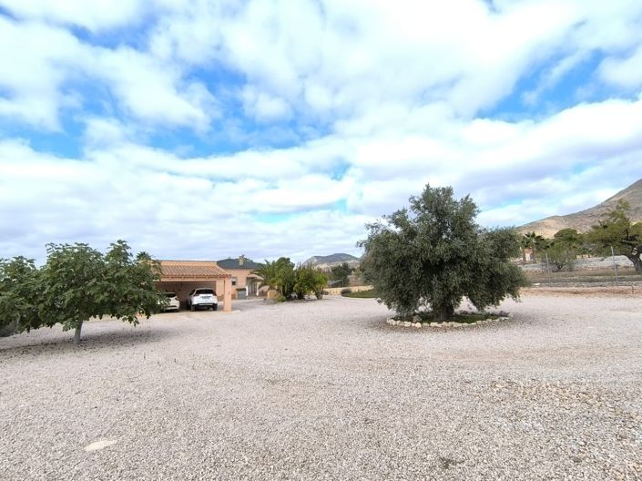 Image No.28-5 Bed Villa for sale