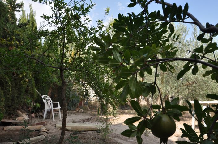 Image No.10-4 Bed Country House for sale