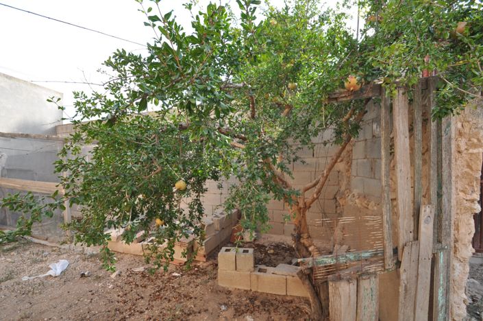 Image No.33-4 Bed Country House for sale