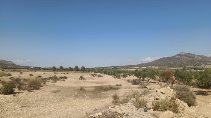 Image No.12-Land for sale