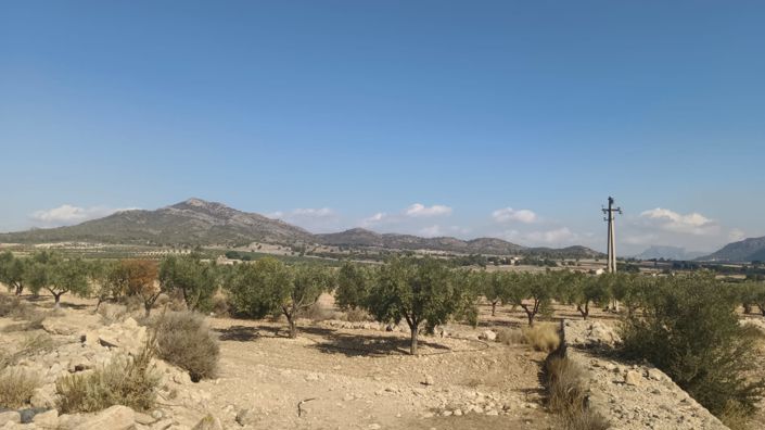 Image No.3-Land for sale