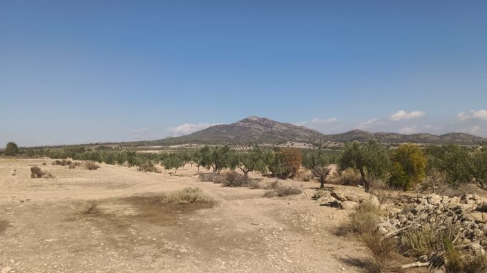 Image No.4-Land for sale