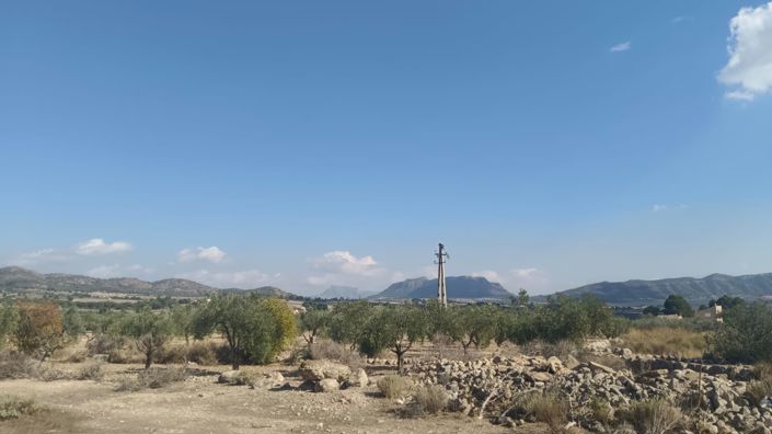 Image No.5-Land for sale