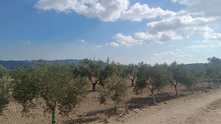 Image No.6-Land for sale