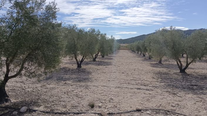 Image No.4-Land for sale