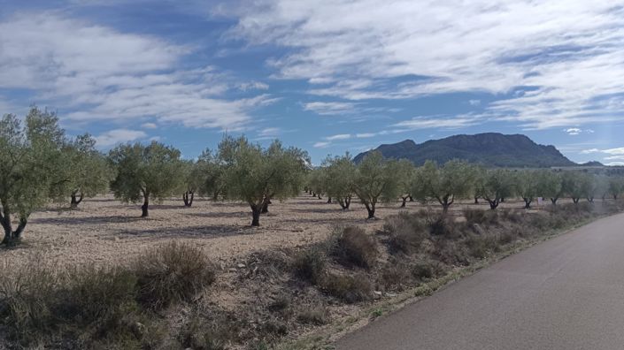 Image No.5-Land for sale