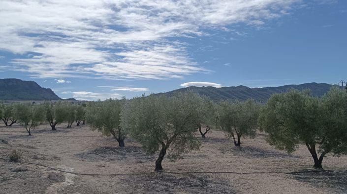 Image No.6-Land for sale