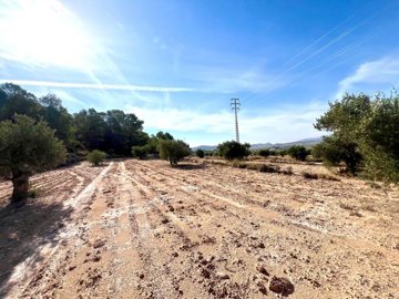 o1j88i9opfafmq8k1bte1phqnqt2r