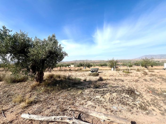 Image No.16-Country House for sale