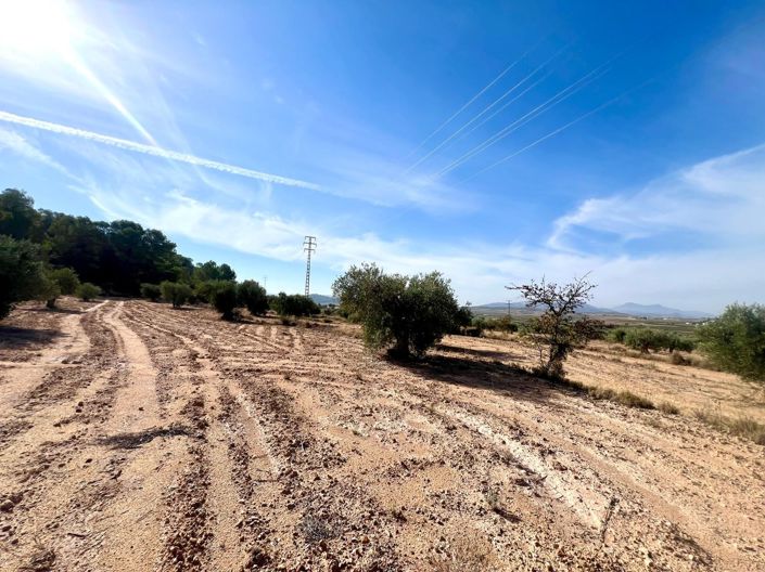 Image No.19-Country House for sale