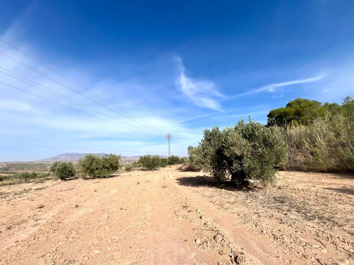 Image No.21-Country House for sale