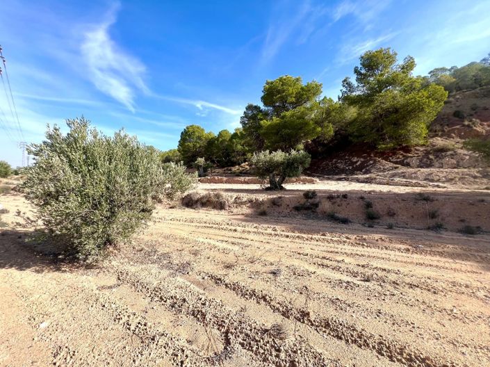 Image No.24-Country House for sale