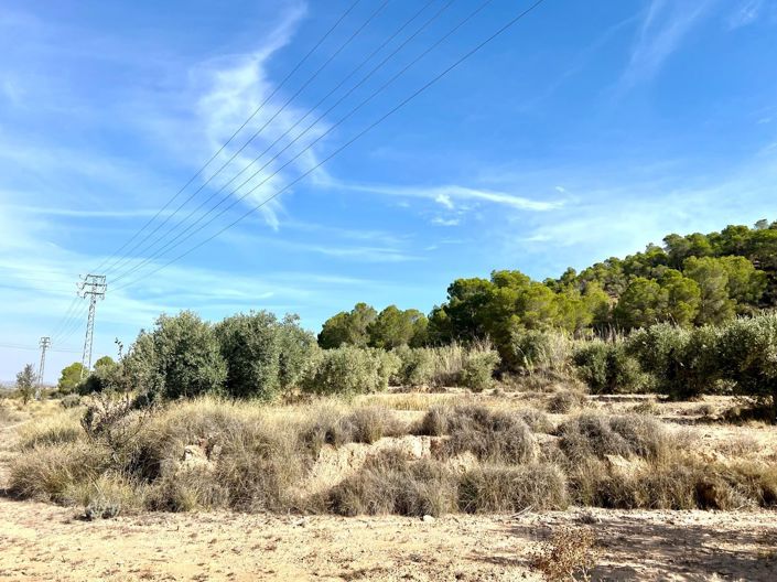 Image No.26-Country House for sale