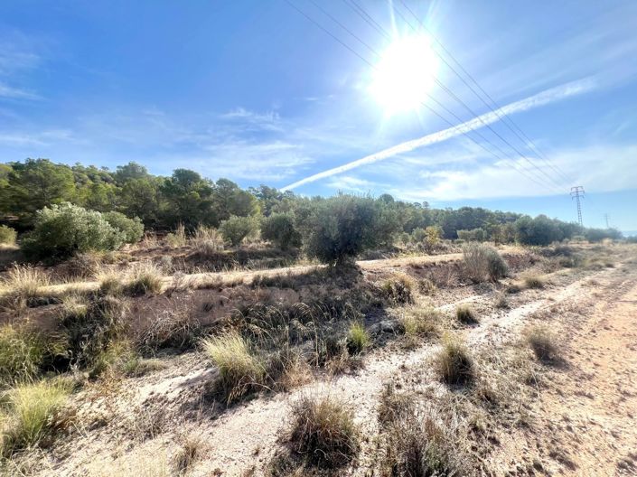 Image No.28-Country House for sale