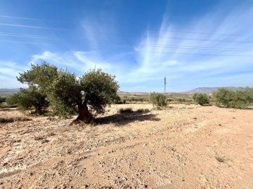 o1j88i9opf8ql1ubh1ot71h84iom2o