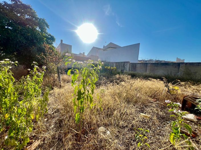 Image No.7-Maison de ville de 6 chambres à vendre à Pinoso