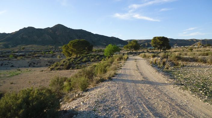 Image No.2-Terre à vendre à Abanilla