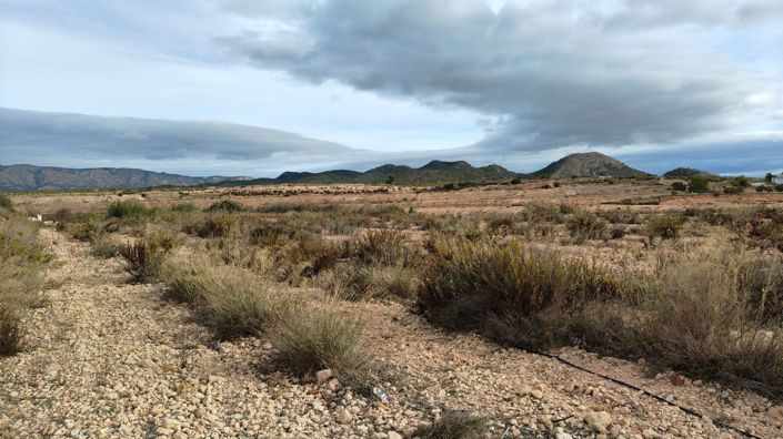 Image No.11-Terre à vendre à Monóvar