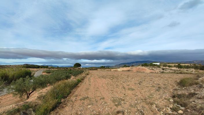 Image No.4-Terre à vendre à Monóvar