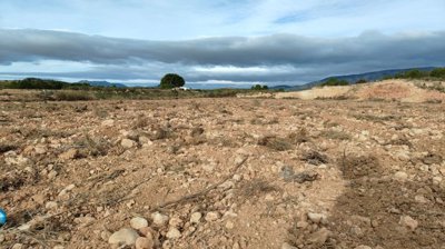 o1j8ng2e1qsqfk1h1rgi1g2td5p1t