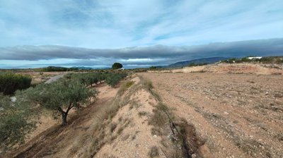 o1j8ng2e1q1dnd1jlngi01den1odp1v