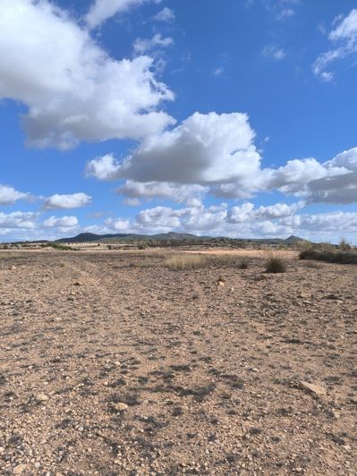 Image No.11-Land for sale