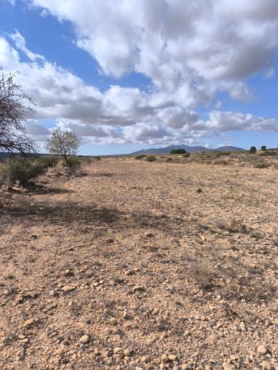 Image No.3-Land for sale