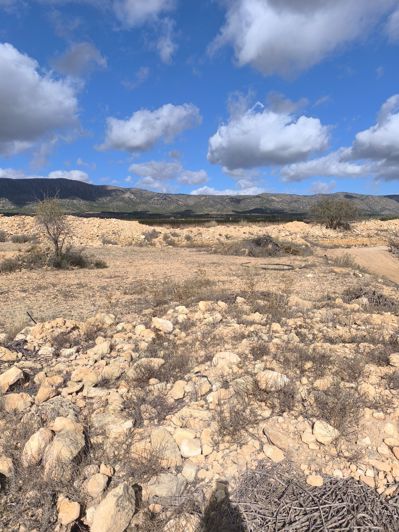 Image No.4-Land for sale