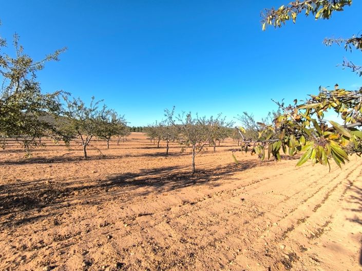 Image No.4-Land for sale