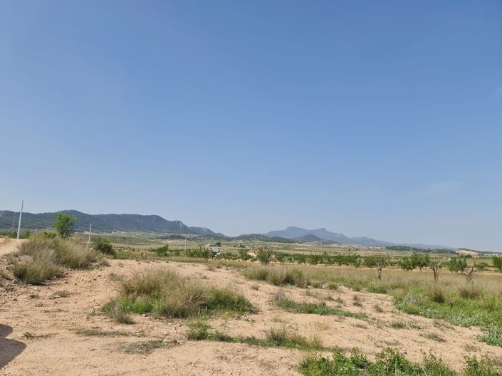 Image No.2-Terre à vendre à Jumilla