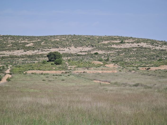 Image No.4-Terre à vendre à Jumilla