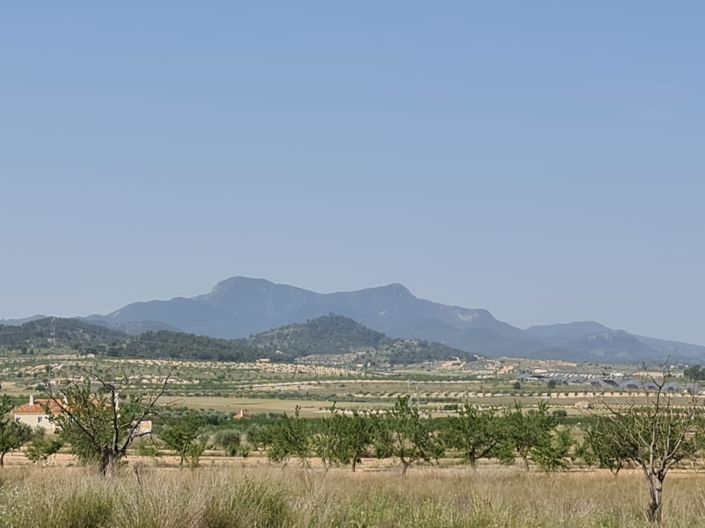 Image No.5-Terre à vendre à Jumilla