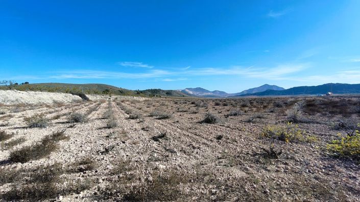 Image No.11-Land for sale